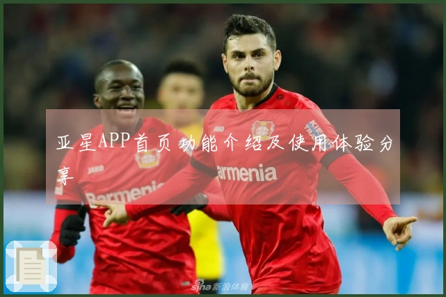 亚星APP首页功能介绍及使用体验分享