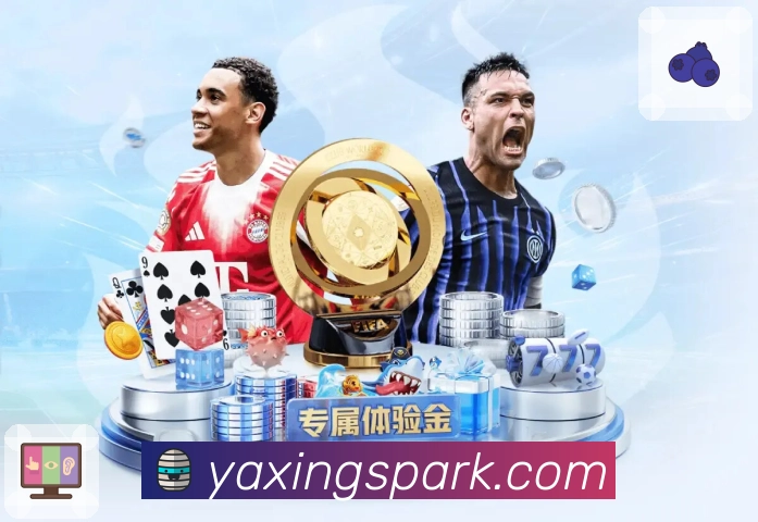 亚星官网账户安全