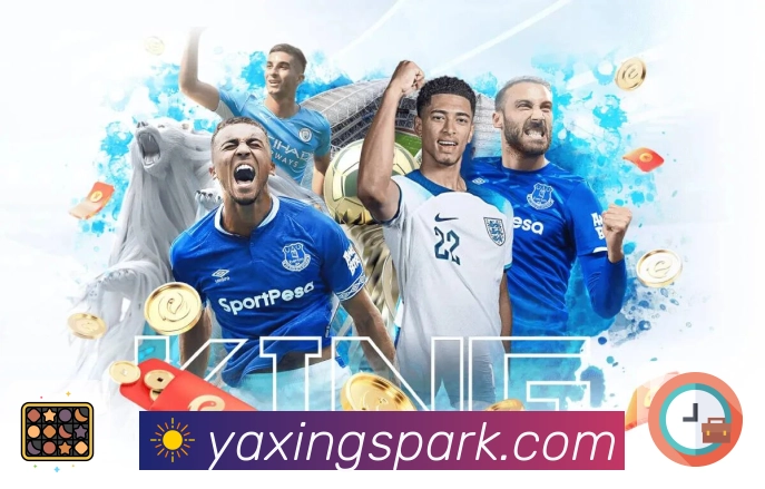 亚星官网多语言客服